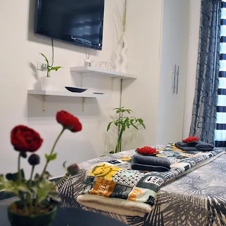 Guest house Guastella House